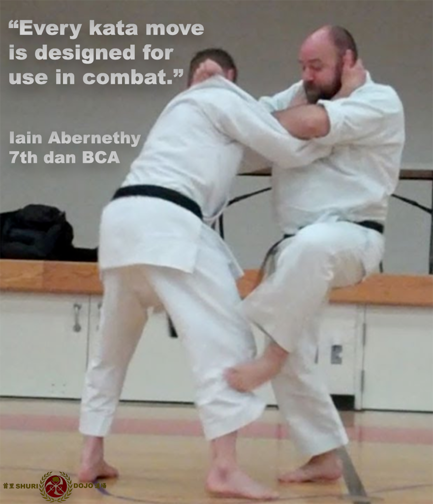 “Every kata move is designed for use in combat.”