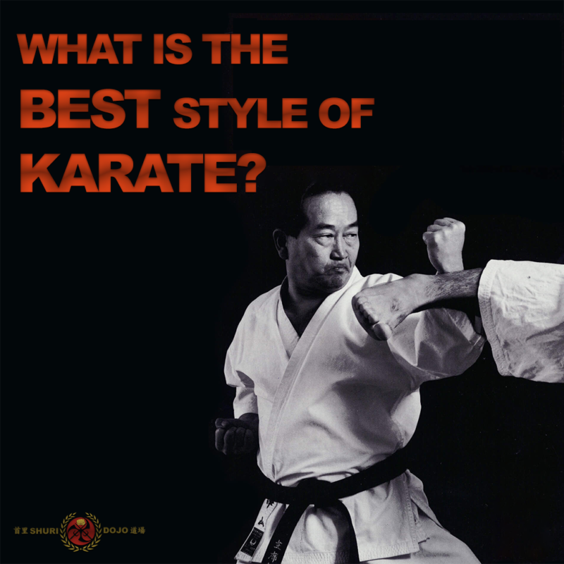 new karate series